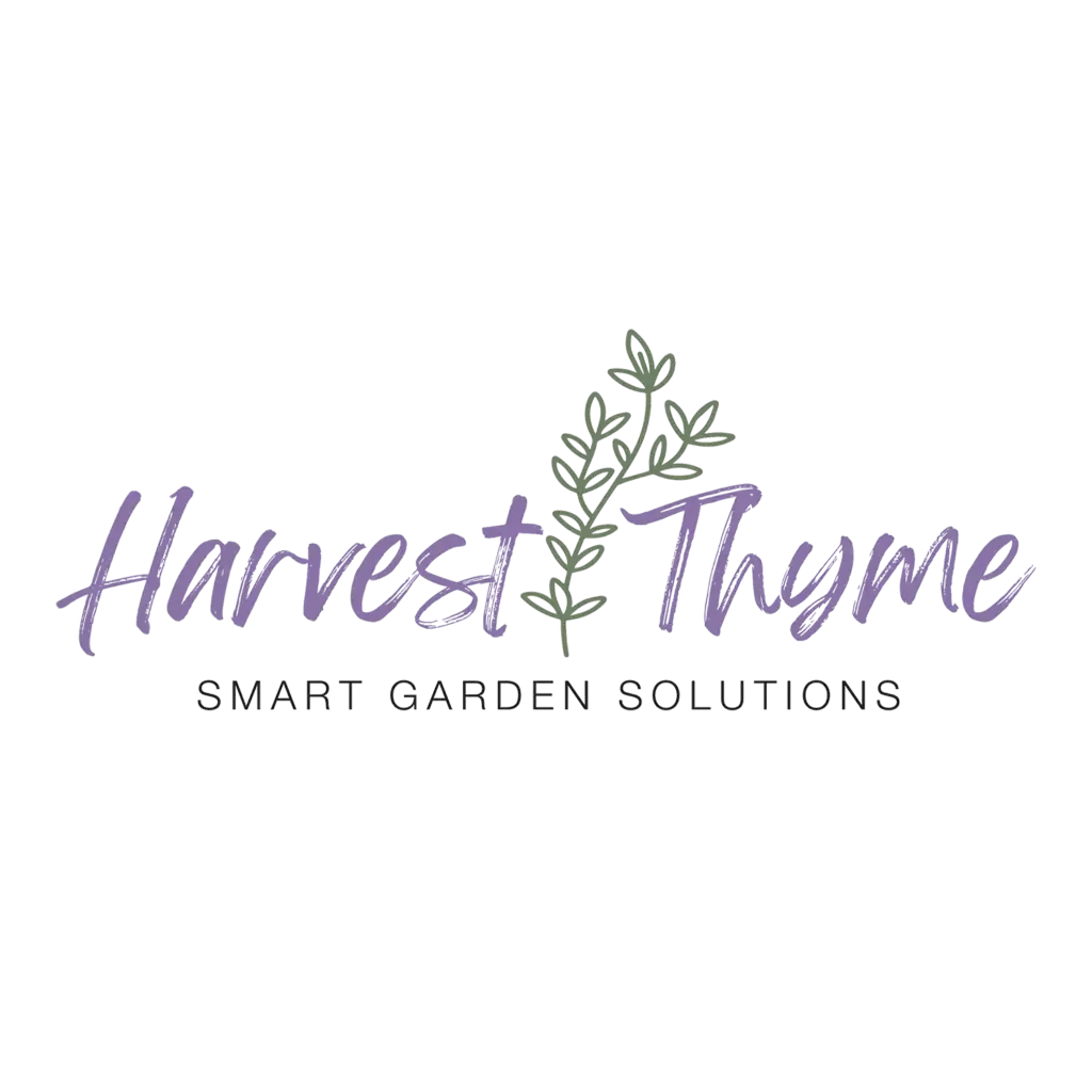 Harvest Thyme Logo